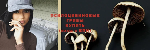 герыч Лиски
