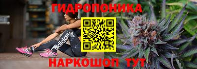 дмт Нальчик