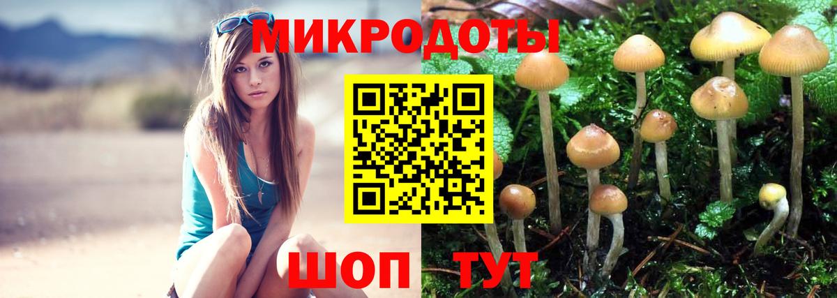 Северобайкальск  Галлюциногенные грибы ЛСД  купить  сайты  Вход с VPN 